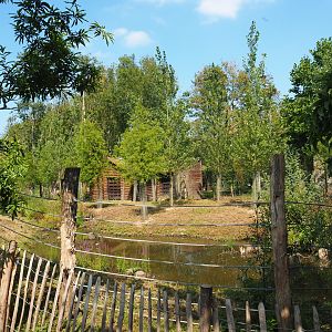 New exhibit between The Last Frontier and the raptor aviaries, 2021-09-02