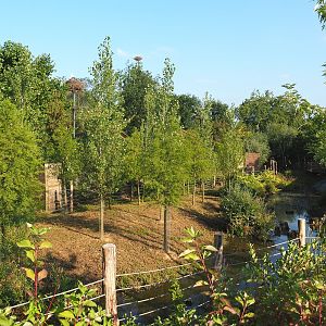 New exhibit between The Last Frontier and the raptor aviaries, 2021-09-02