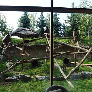 Alpine marmot and North American porcupine exhibit next to the lobby of The Paddling Bear hotel, 2021-09-02