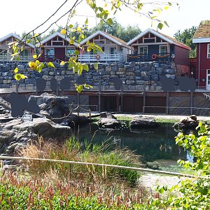 Steller's sea lion exhibit, with Paddling Bear Lodges in the background, 2021-09-02