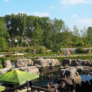 Steller's sea lion exhibit seen from the hotel room, 2021-09-02