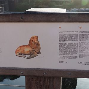 Steller's sea lion signage, 2021-09-03