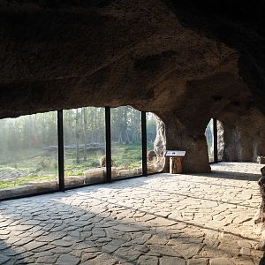 Eurasian brown bear and Eurasian wolf viewing cave, 2021-09-03