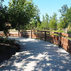 Newly finished viewing area for new exhibit between The Last Frontier and the raptor aviaries, 2021-09-03