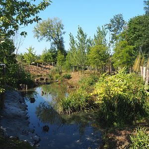 New exhibit between The Last Frontier and the raptor aviaries, 2021-09-03