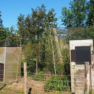 Raptor mews and backside of raptor aviaries, 2021-09-03