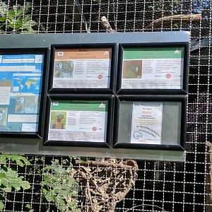 Ring tailed Lemur and Macaws Sign