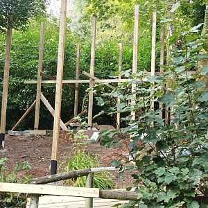 View of brand new enclosure being constructed