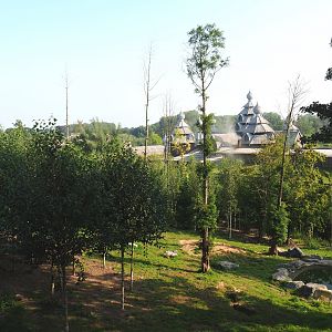 Mackenzie Valley wolf exhibit, 2021-09-02