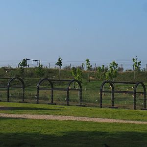 Blackbuck and Tajik markhor area (behind one of the Asian elephant paddocks and the railway), 2021-09-02