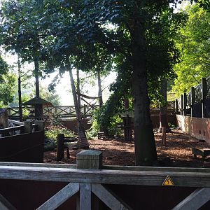Raccoon and Striped skunk exhibit, 2021-09-02