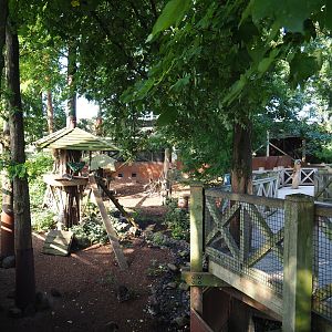 Raccoon and Striped skunk exhibit and viewing area, 2021-09-02