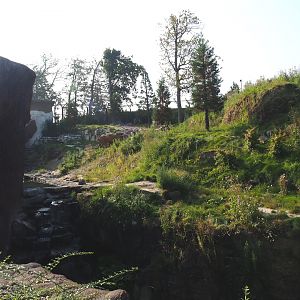 Male polar bear exhibit, 2021-09-02