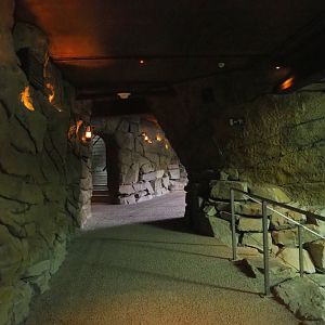 Visitor area in the penguin cave (New exhibit in 2021), 2021-09-02