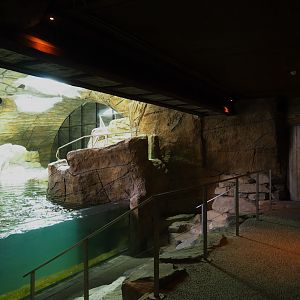 Visitor area in the penguin cave (New exhibit in 2021), 2021-09-02