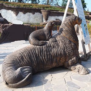 Walrus with calf wood carving, 2021-09-02