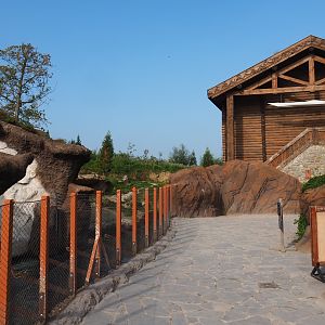 Pacific walrus exhibit viewing area, 2021-09-02