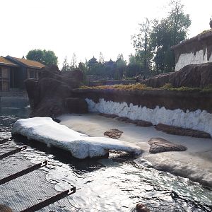 Main Pacific walrus exhibit, 2021-09-02