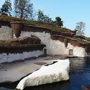 Main Pacific walrus exhibit, 2021-09-02