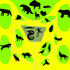 Florida Wildlife Conservation Center - Woodlands