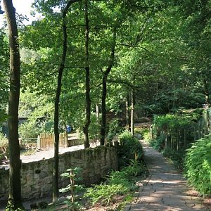 Trail at tapir (left side) and fishing cat (right side)