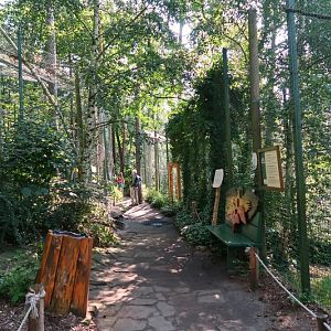 Raptor and owl aviaries