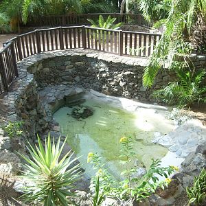 Crocodilian Enclosure