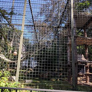Chimpanzee Enclosure