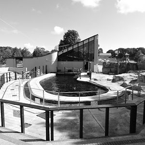 End of an era - dolphin/sealion pool
