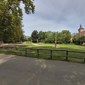 Bactrian camel & kulan enclosure
