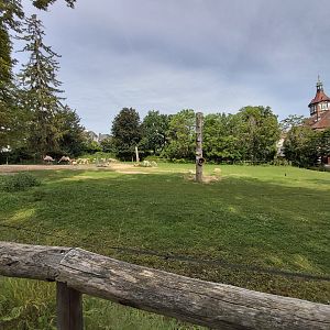 Bactrian camel & kulan enclosure
