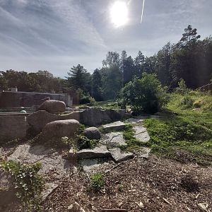 Polar bear first enclosure