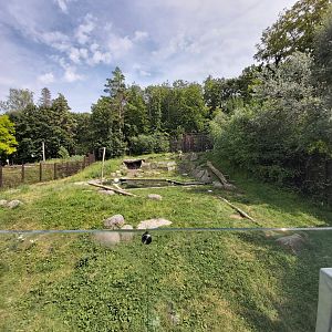 Polar bear second enclosure