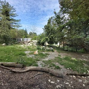 Mackenzie valley wolf enclosure