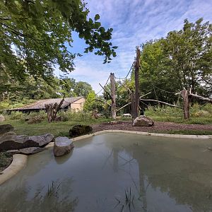 Malayan tapir & crested black macaque enclosure