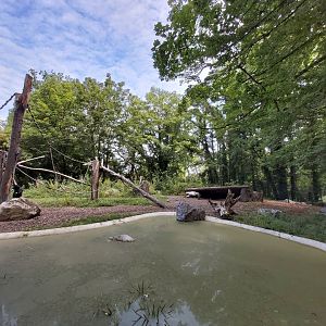 Malayan tapir & crested black macaque enclosure