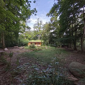 Okapi first enclosure (the second is hidden from the visitors)