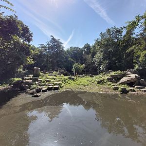 Bharal, Shensi and Sichuan takin enclosure