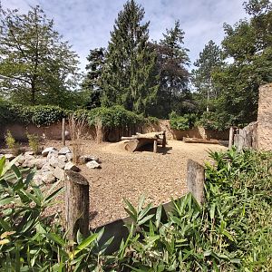 Chacoan peccary enclosure (in the children farm)