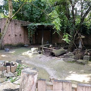 Rabbit enclosure (in the children farm)