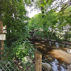 Duck pond (in the children farm)