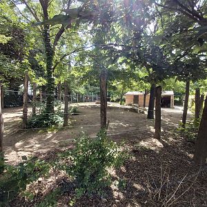 Llama & alpaca enclosure (in the children farm)