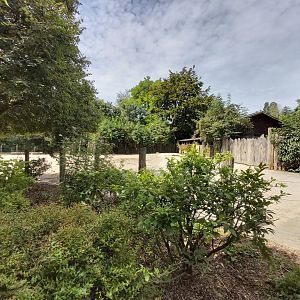 Poitou donkey enclosure (in the children farm)