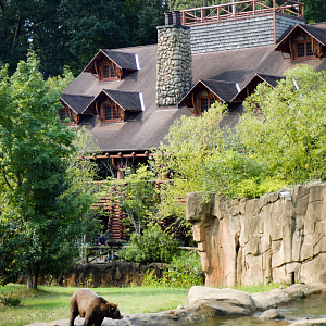 Sep. 2021 - Teton Trek - Grizzly Bear/American Black Bear Exhibit