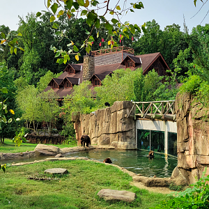 Sep. 2021 - Teton Trek - Grizzly Bear/American Black Bear Exhibit