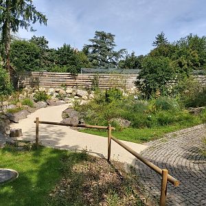 Alsace wild plants trail