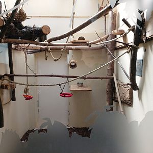 Typical indoor enclosure for callithrichid - Petite Amazonie