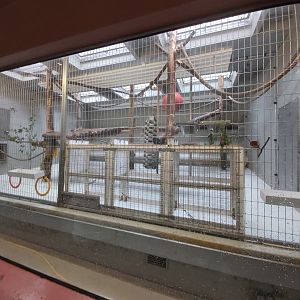 Typical indoor enclosure for monkeys - Singerie