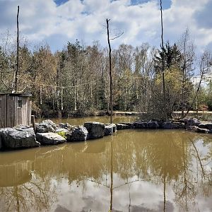 White-handed gibbon enclosure