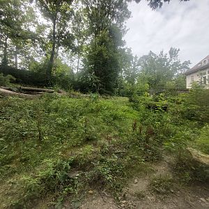 Maned wolf enclosure